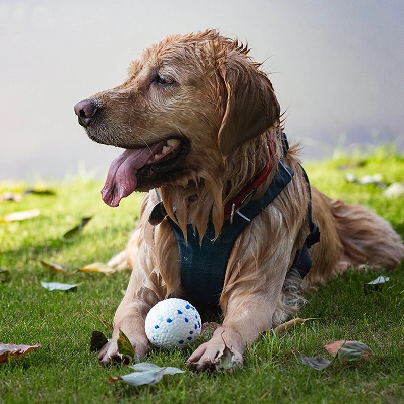 Bite Resistant Solid Dog Ball Toy - High Elasticity E - TPU Chew Ball - The Fur Pal Dog quality premiumdogsupplies