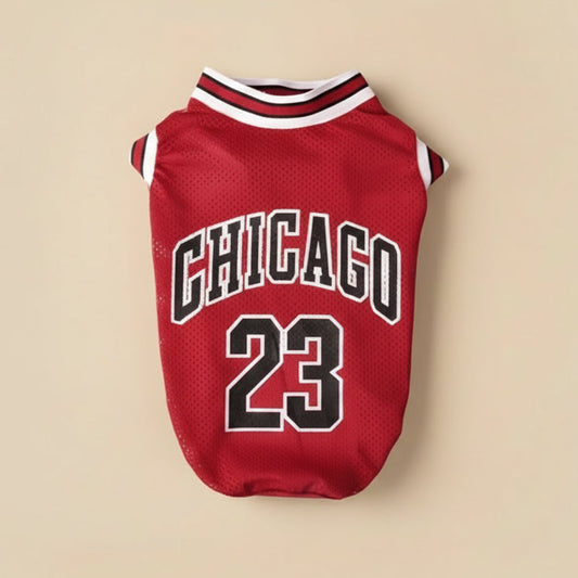 Camisola de malha Chicago Sport