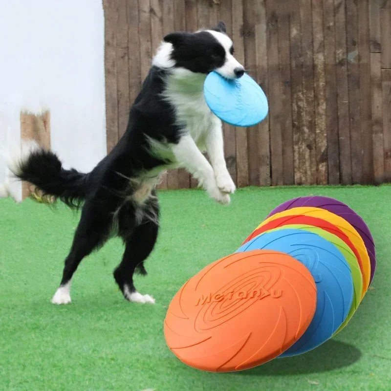 Disco de entrenamiento de silicona para perros SpectrumFly