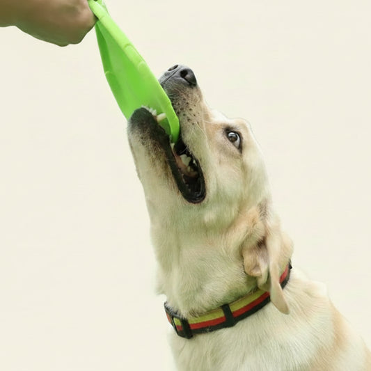 Disco de treinamento para cães de silicone SpectrumFly