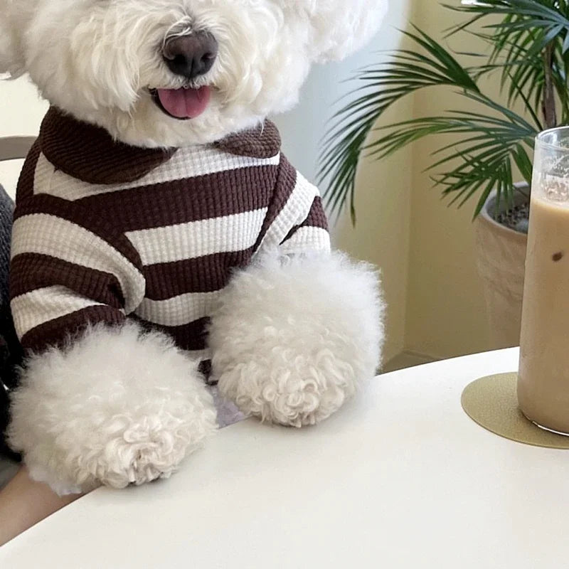 Camiseta Teddy Stripes – Camiseta fofa para animais de estimação com detalhe de urso de pelúcia