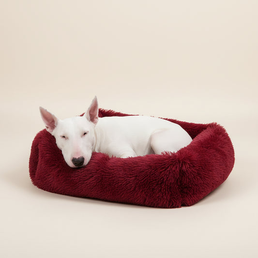 Vinho Tinto: Retângulo