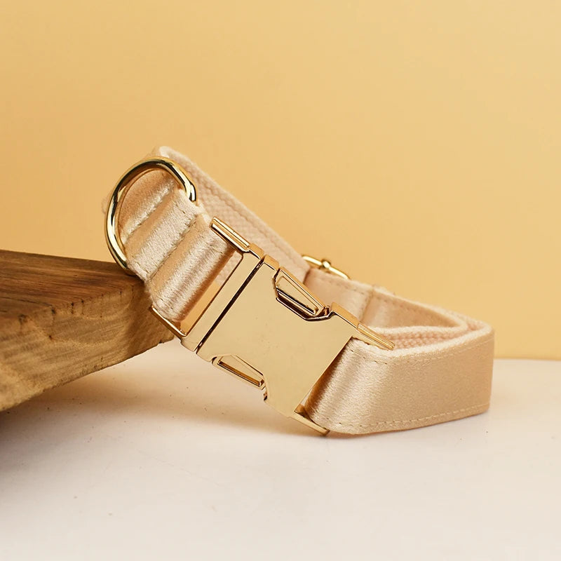 Pamper your pup with the Golden Luxe Silky Dog Set. Personalized bow, collar, leash, and harness in luxurious gold for an elegant, custom look. collar gold