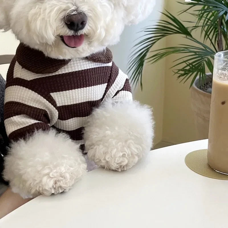 Camiseta Teddy Stripes – Camiseta fofa para animais de estimação com detalhe de urso de pelúcia