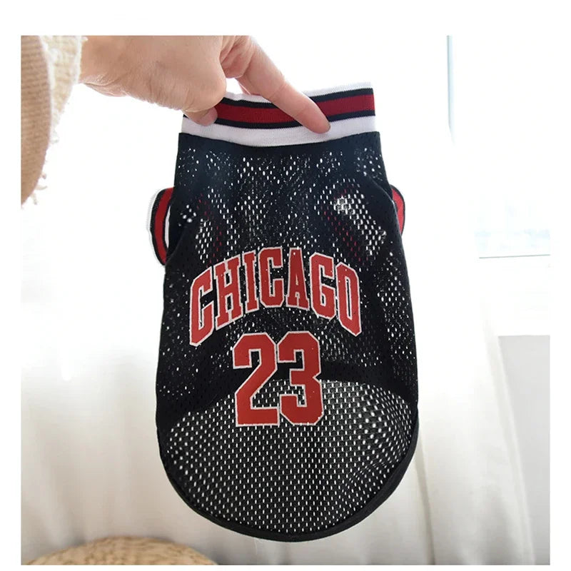 Camisola de malha Chicago Sport