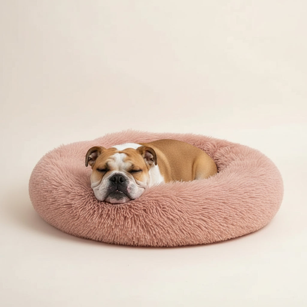 Macchiato: Donut Plush Dog Bed