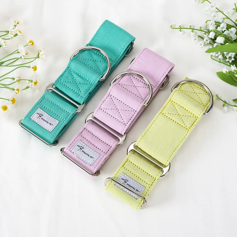 Showcase your dog's elegance with the Italian Motif Dog Collar. Crafted for Italian Greyhounds and Whippets, this premium cotton collar blends comfort and sophistication. Let me know if you’d like help with more product content! green 8