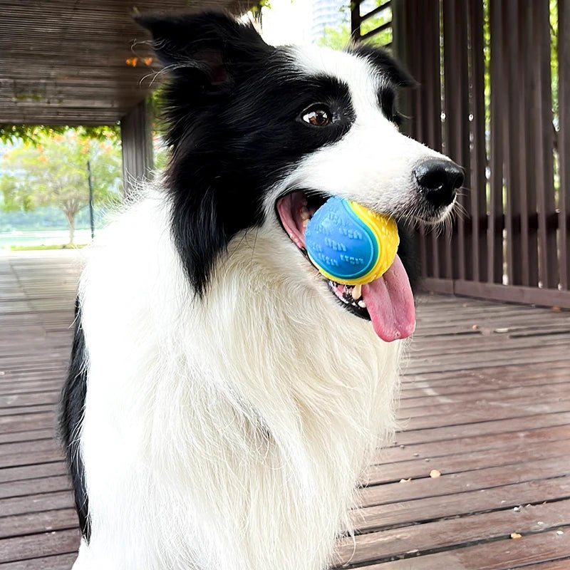 Interactive Squeak & Clean Ball for Dogs - The Fur Pal Dog quality premiumdogsupplies