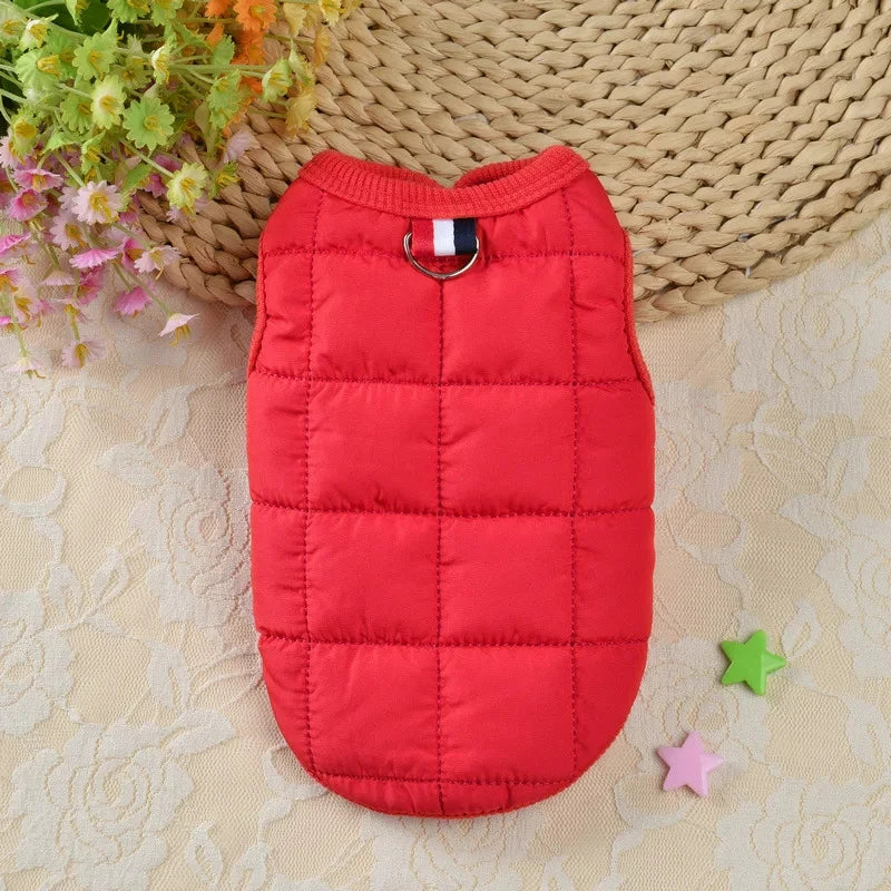 ArcticPaw Solid Dog Vest