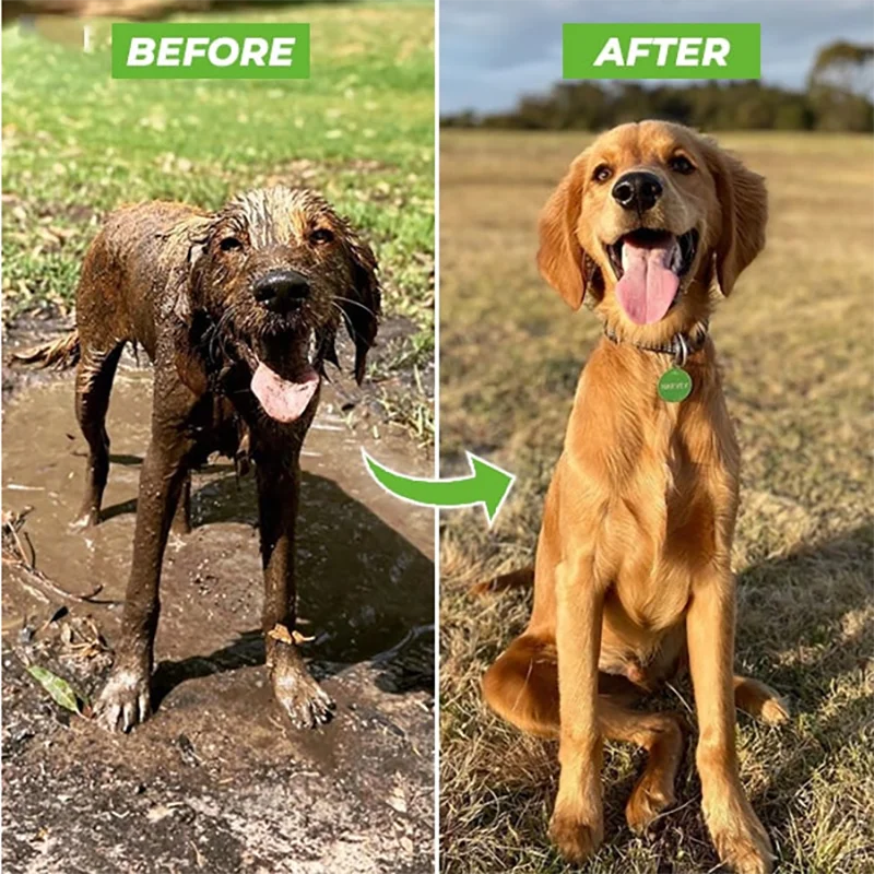 FurFresh Deluxe: Multi-Mode Pet Bathing Gun