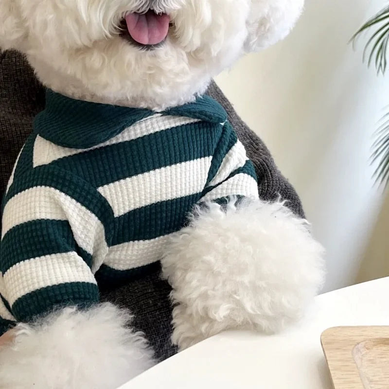 Camiseta Teddy Stripes – Camiseta fofa para animais de estimação com detalhe de urso de pelúcia