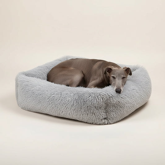 Cinza claro: Retângulo