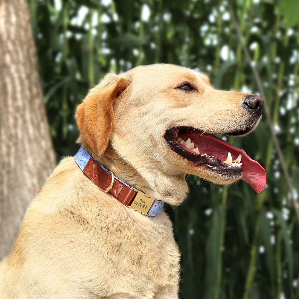 Dog with a collar in front of green foliage
