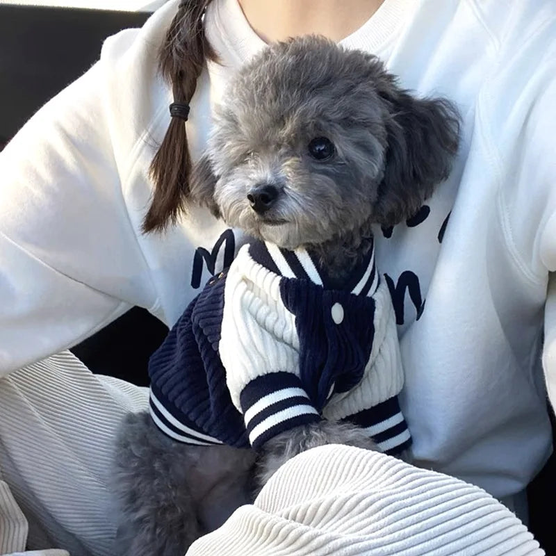 Jaqueta de beisebol bordada para cães – Casaco de primavera premium para raças pequenas e médias