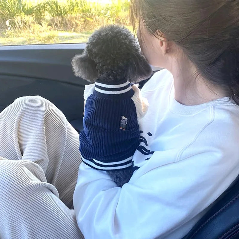 Jaqueta de beisebol bordada para cães – Casaco de primavera premium para raças pequenas e médias