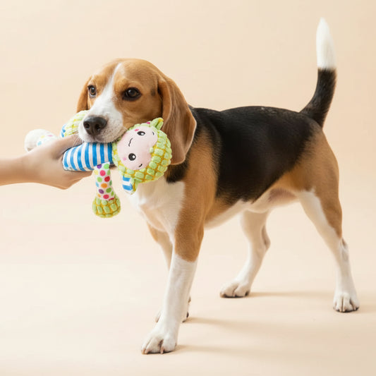 Pawsitive Play Plush Puzzle Toy - The Fur Pal Dog quality premiumdogsupplies