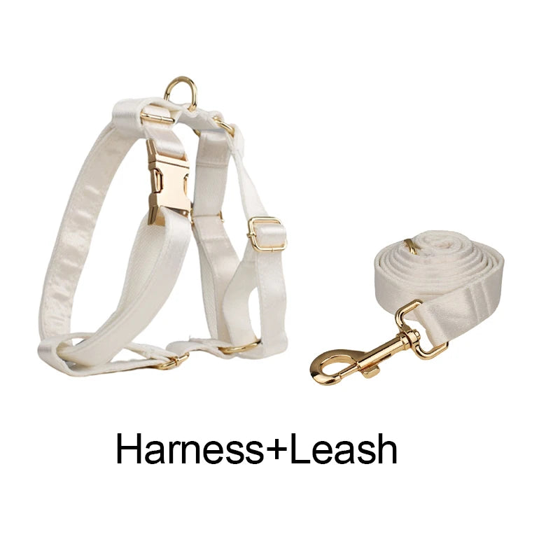 Conjunto de coleira, guia, peitoral e laço brancos personalizados chiques para cães
