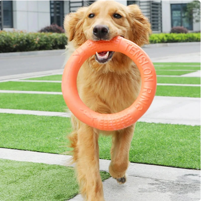 Canine Flight Disc™ - Anel de treinamento interativo para cães