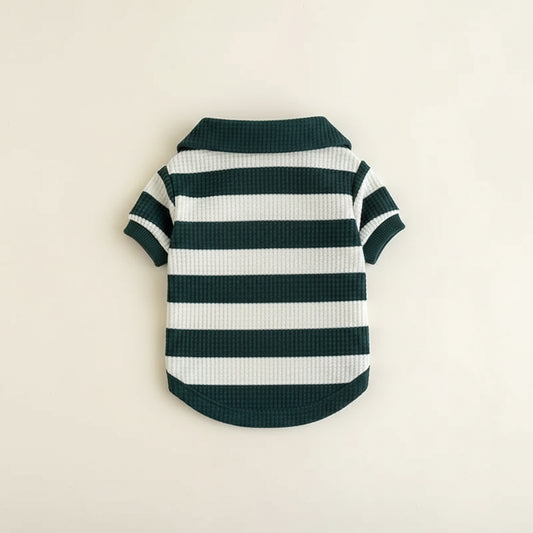 T-shirt Teddy Stripes