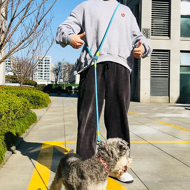 Reflective Nylon Dog Leash for Running and Walking