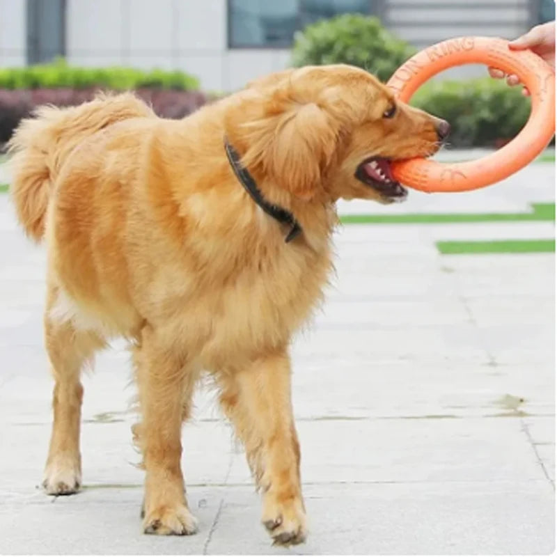 Canine Flight Disc™ - Anel de treinamento interativo para cães