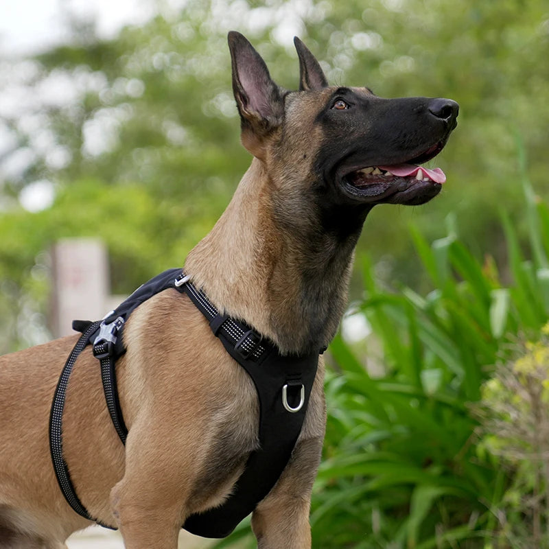 The Fur Pal x TrueLove: Arnés táctico antiescape para perros