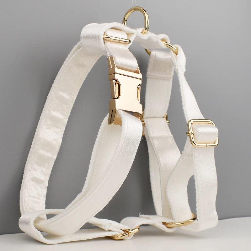 Conjunto de coleira, guia, peitoral e laço brancos personalizados chiques para cães