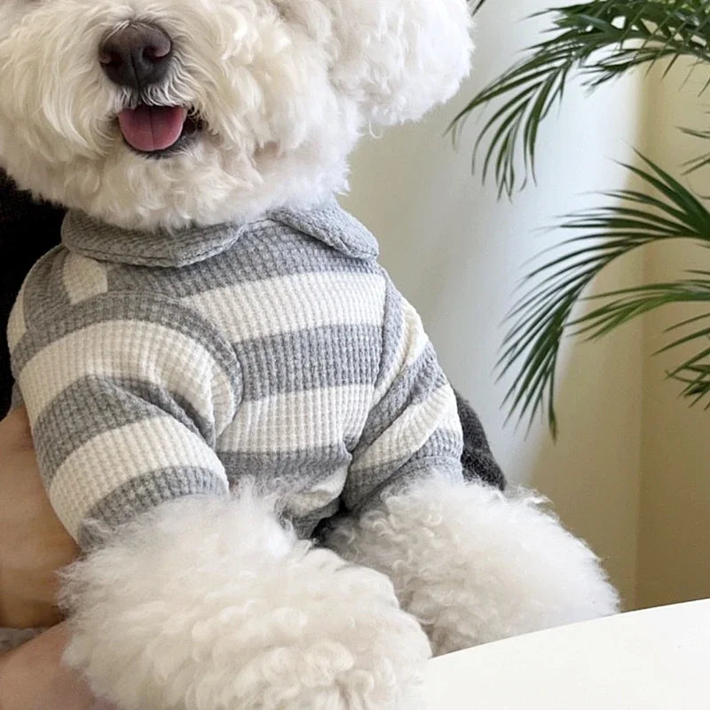 Camiseta Teddy Stripes – Camiseta fofa para animais de estimação com detalhe de urso de pelúcia