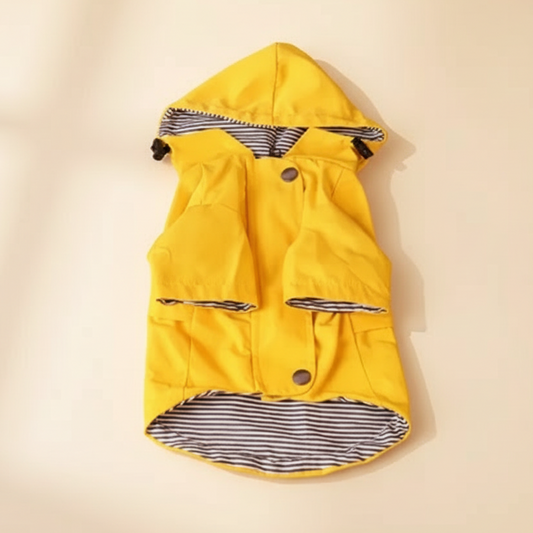 Capa de chuva amarela para cão