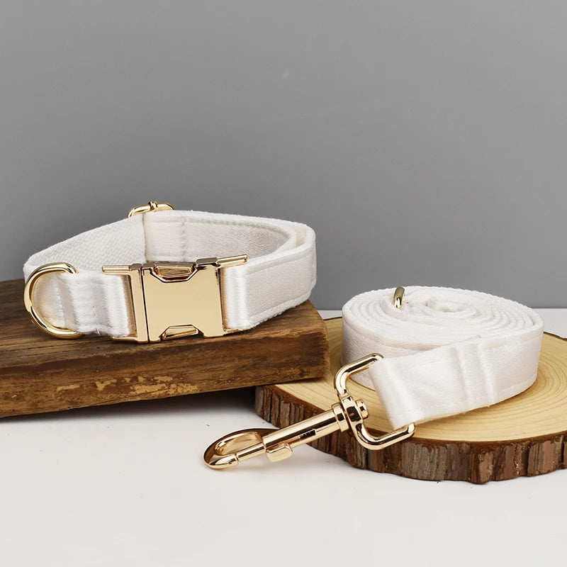 Conjunto de coleira, guia, peitoral e laço brancos personalizados chiques para cães