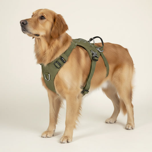 Verde Militar: À prova de fugas