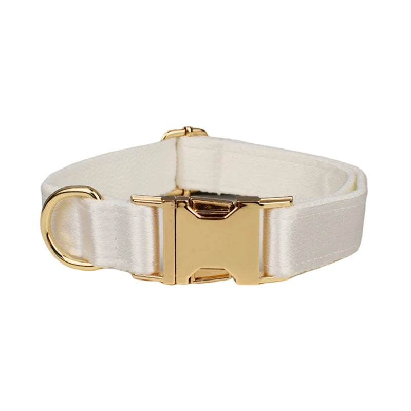 Conjunto de coleira, guia, peitoral e laço brancos personalizados chiques para cães