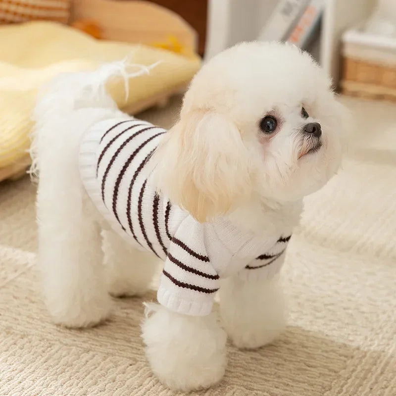 Snuggle Stripe Sweater β Cozy Button-Up Knit for Dogs