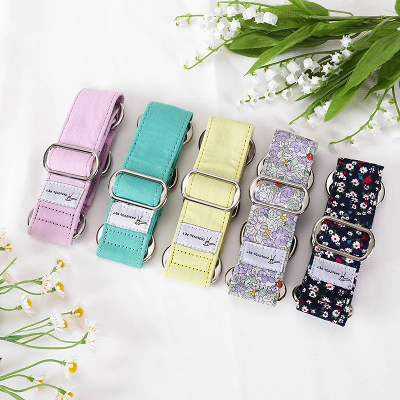 Showcase your dog's elegance with the Italian Motif Dog Collar. Crafted for Italian Greyhounds and Whippets, this premium cotton collar blends comfort and sophistication. Let me know if you’d like help with more product content! green 99