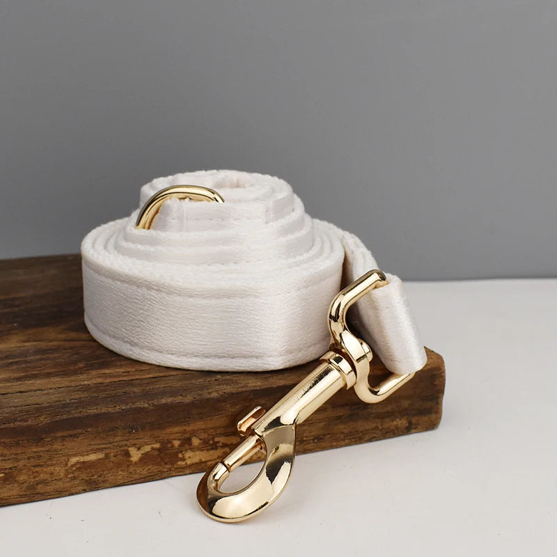 Conjunto de coleira, guia, peitoral e laço brancos personalizados chiques para cães