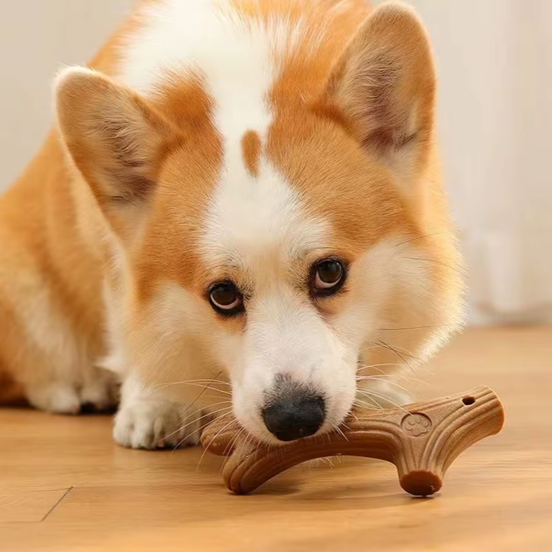 Brinquedo de mastigar para cães resistente a mordidas em formato de osso