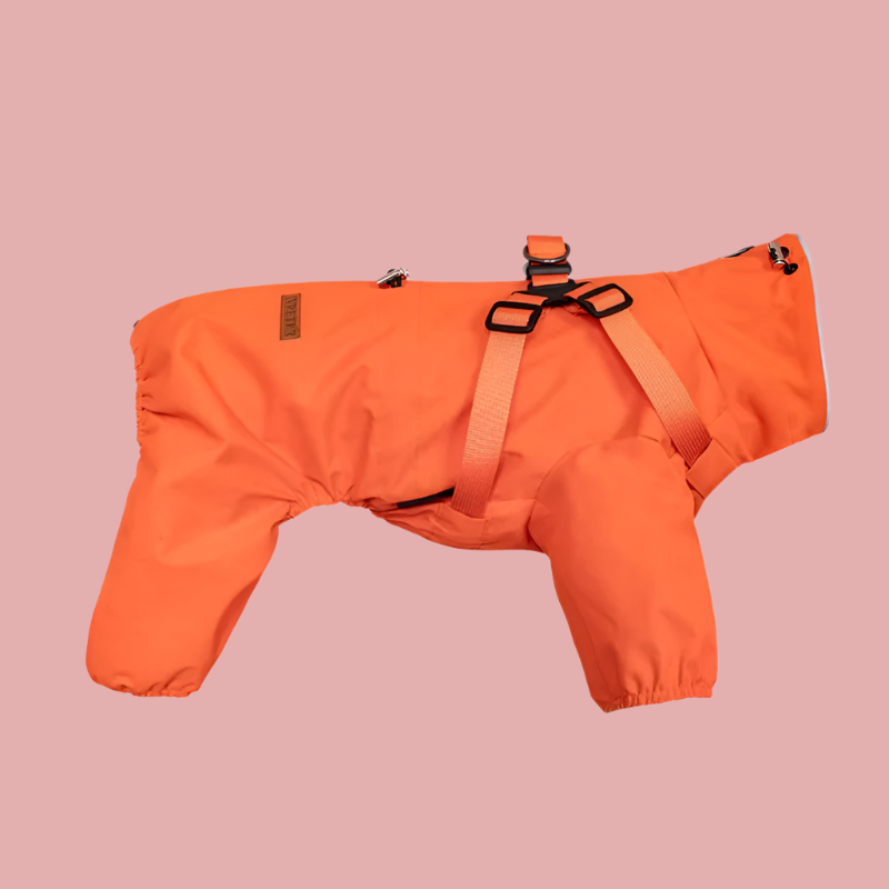 PawsRaincoat™ - All-in-One Dog Raincoat with Built-In Harness