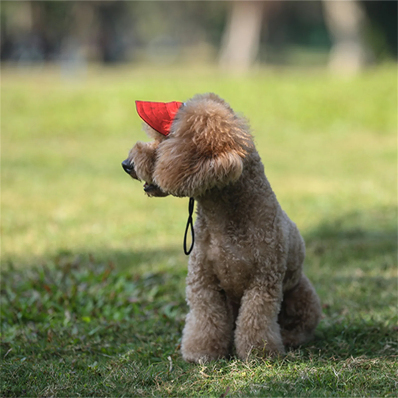 Boné de beisebol ajustável para cães Blue PupPlay – chapéu com viseira solar e furos para orelhas para aventuras ao ar livre