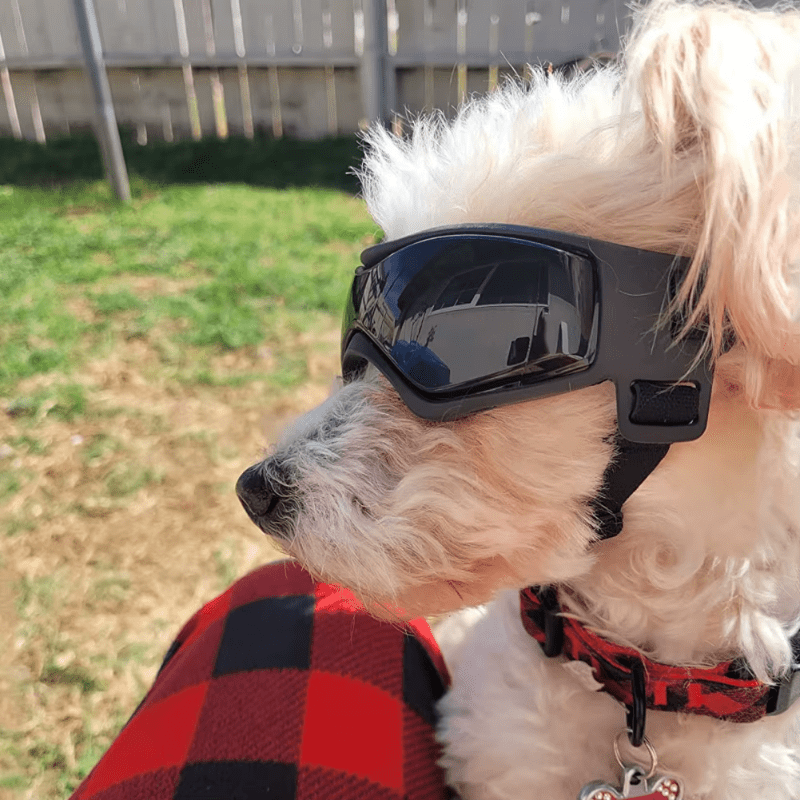 Pink UV Protection Sunglasses for Dogs - Adjustable Goggles for Small & Medium Breeds - The Fur Pal Dog quality premiumdogsupplies