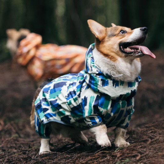 Protect your dog from rain and mud with the Ultimate Full-Body Waterproof Dog Raincoat. Complete coverage, adjustable fit, and reflective safety features for all-weather walks! blue2