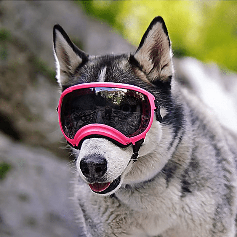 Pink ATUBAN Dog Goggles - Anti - UV, Impact Resistant & Adjustable Sunglasses for Large Breeds - The Fur Pal Dog quality premiumdogsupplies