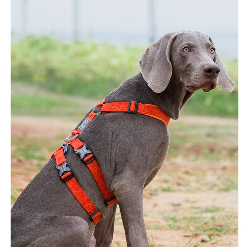 No-Pull Reflective Dog Harness
