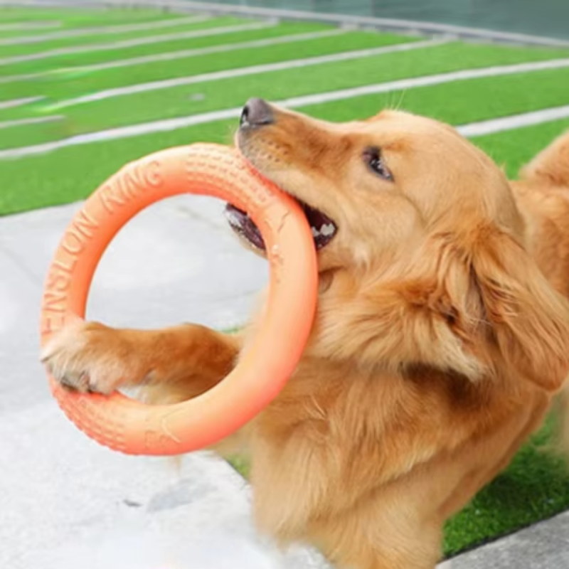 Canine Flight Disc™ - Anel de treinamento interativo para cães