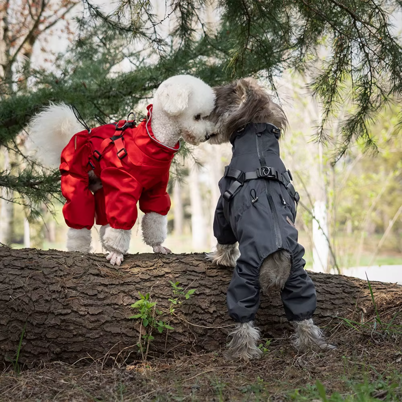 PawsRaincoat™ - All-in-One Dog Raincoat with Built-In Harness