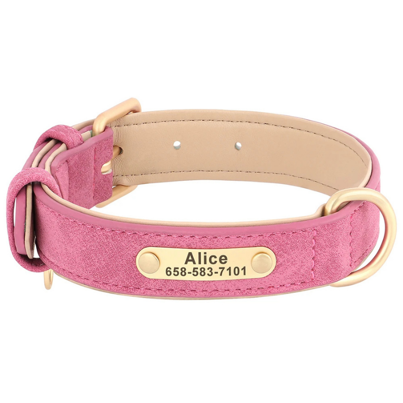 Hawt Hound - Custom Engraved Luxe ID Collar