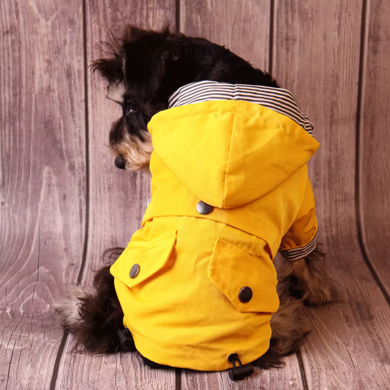 Keep your dog dry and stylish with the Ulti-Mate Full-Body Waterproof Dog Raincoat. Full coverage, adjustable fit, and reflective accents for safety in the rain. back of dog