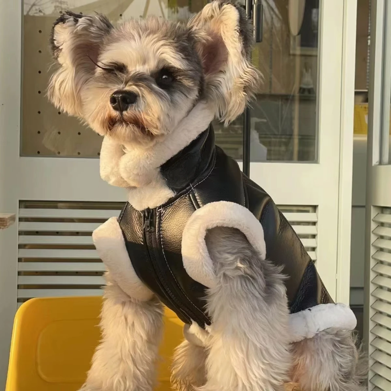 Cozy Winter Vest – Warm Jacket for Small Dogs