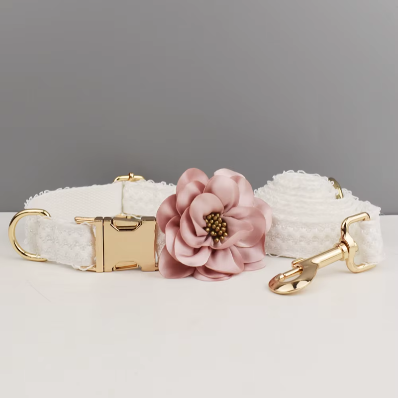 Coleira elegante de renda branca personalizada para cães com placa de identificação gravada personalizada