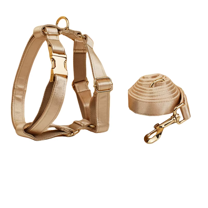 Pamper your pup with the Golden Luxe Silky Dog Set. Personalized bow, collar, leash, and harness in luxurious gold for an elegant, custom look. leash and hharness