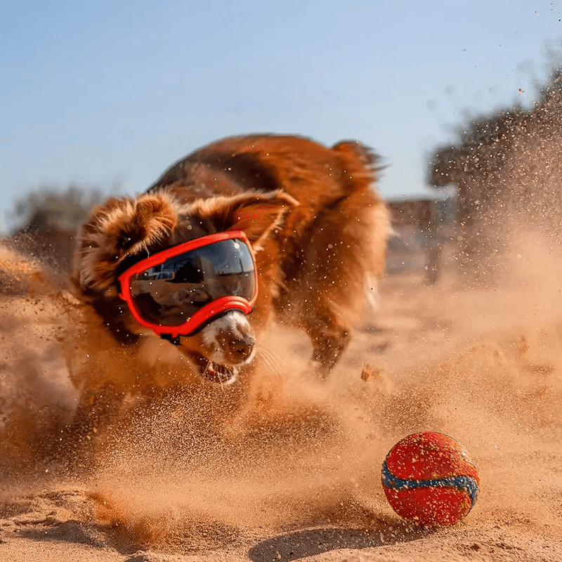 Red ATUBAN Dog Goggles - Anti - UV, Impact Resistant & Adjustable Sunglasses for Large Breeds - The Fur Pal Dog quality premiumdogsupplies